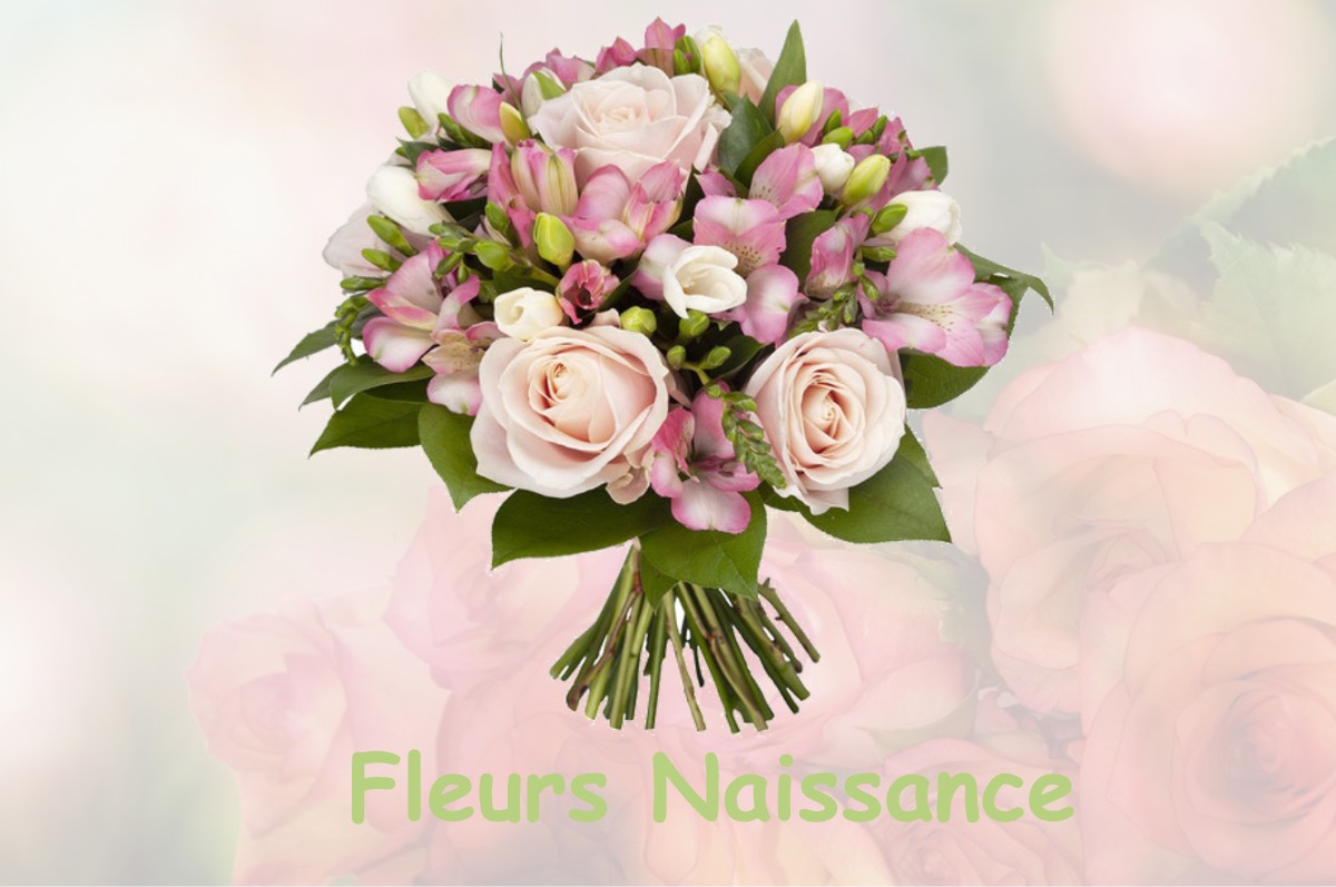 fleurs naissance TOURY-LURCY